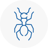 Ant Removals In Christchurch