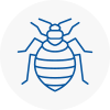 Bed Bug Extermination In Christchurch