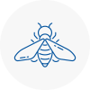 Bee Nest Removal Christchurch