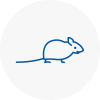 Mice Exterminators In Christchurch