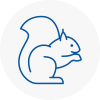 Christchurch Rodent Removals